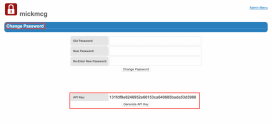 Where can I find my REST API key and how do I use it?